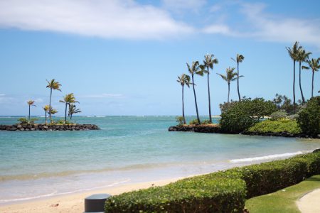 【２０１７年の年間メッセージ】