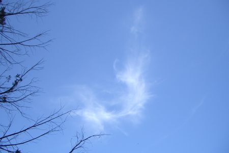 これからもいろんなことあるよ