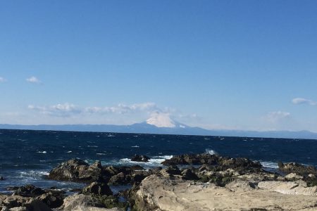 別居してました