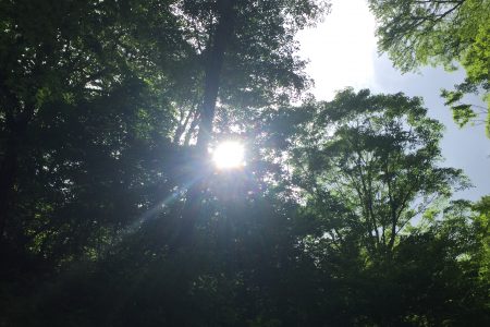 意識の変化が凄すぎます！っていうか