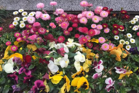 2020年４月の月間メッセージ