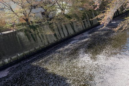 意識っていうけどさ